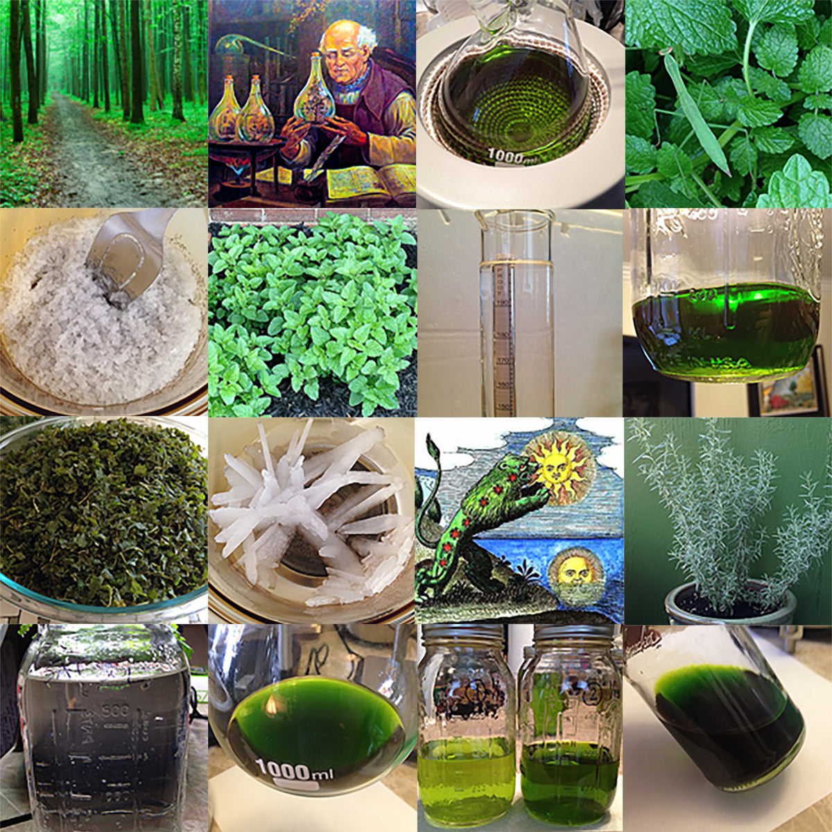 Primum Ens Plant Alchemy Training Course